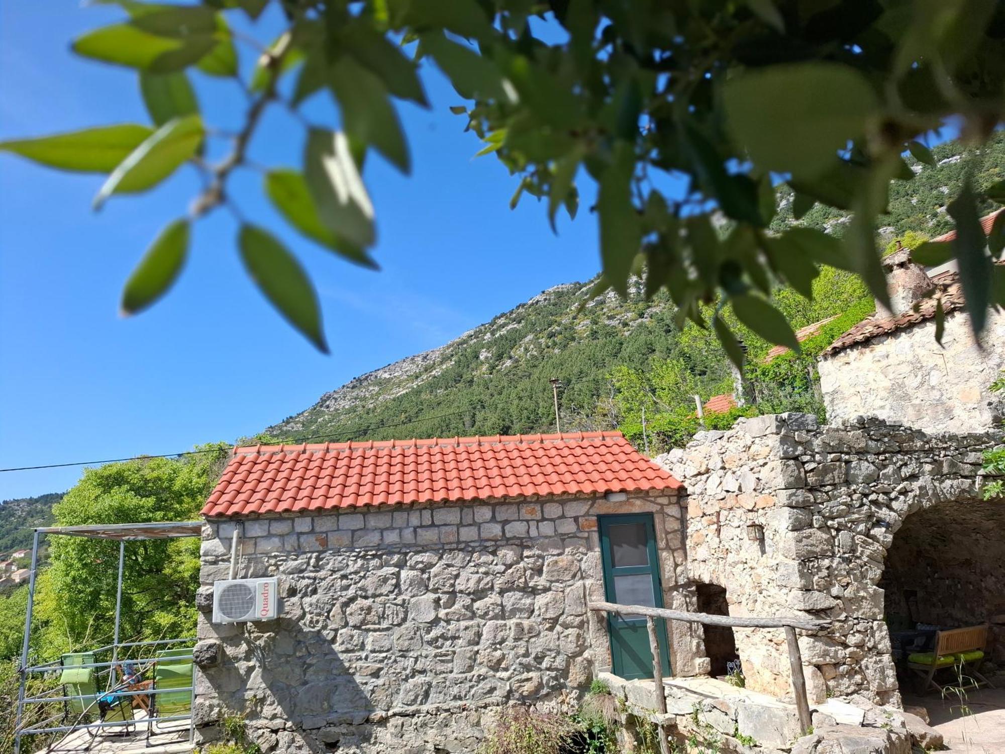 Melita The For Animal Lovers Chalet Babino Polje